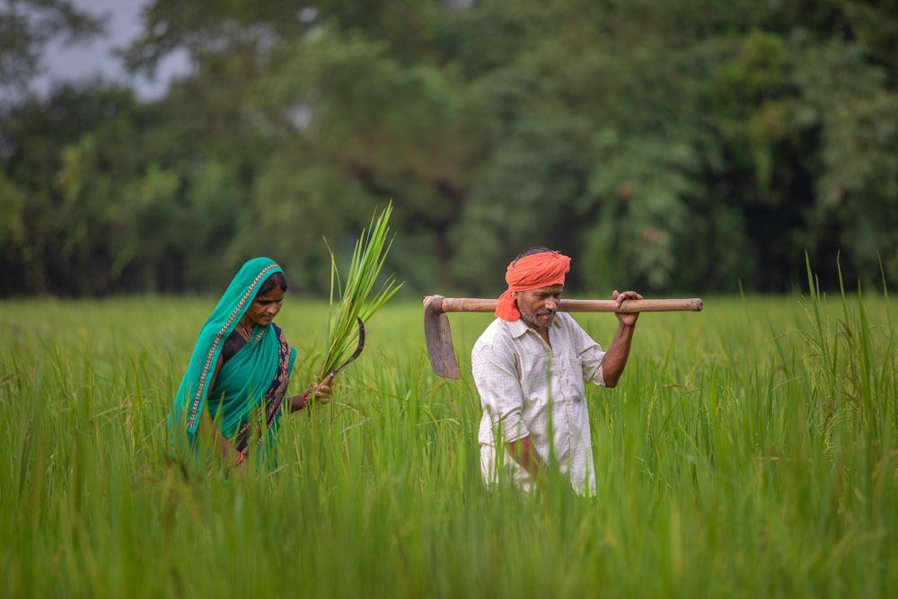 A man and a woman with a plough and a hand-sickle walking in a field.