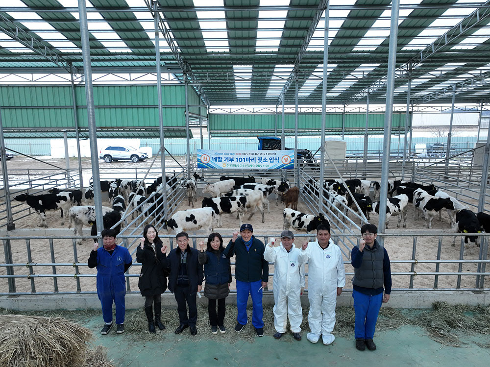 Cows in quarantine facility with group of people posing in front.