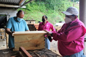 Three men stand around a beekeeping workshop in Honduras.