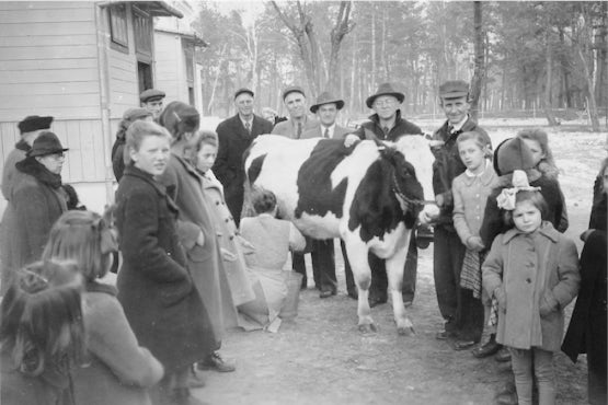 Historic black and white photo of people with a dairy cow.
