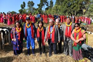Dr. Kim, second from left, stands with the first shipment of Korean heifers in Sindhuli, Nepal. Photo courtesy of Heifer Korea.
