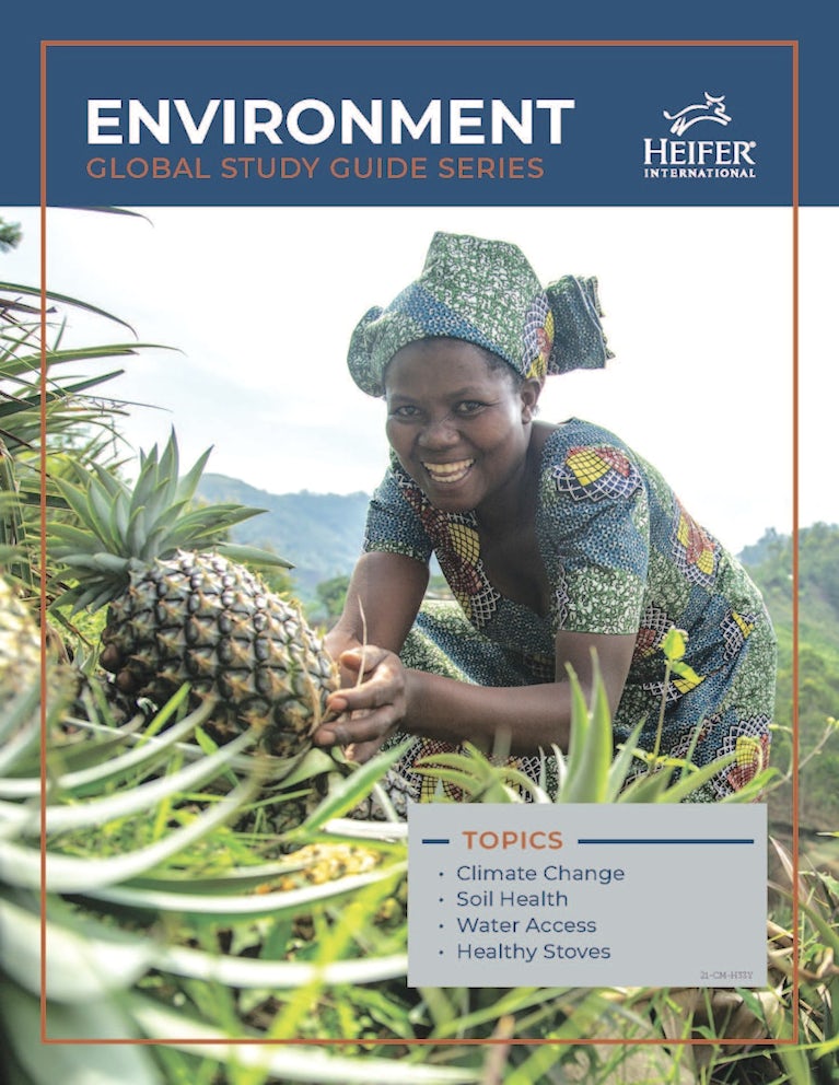 Cover of Global Study Guide: Environment.