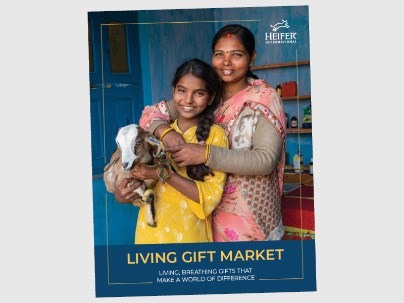 Living Gift Market Leader's Guide Heifer International