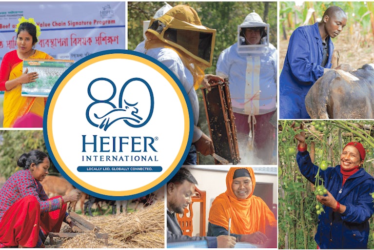 An image collage celebrating Heifer International's 80th anniversary.