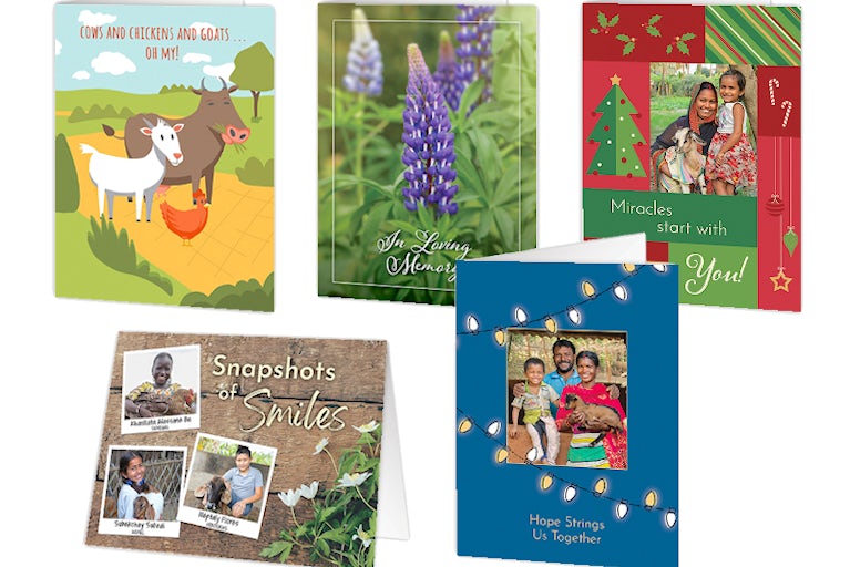 A group of five greeting cards featuring various designs: illustrated animals, a purple flower, Christmas trees, and family portraits, with messages about memories, miracles, smiles, and togetherness.