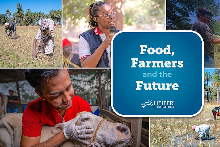 A collage of farming and livestock scenes with the Heifer International logo.