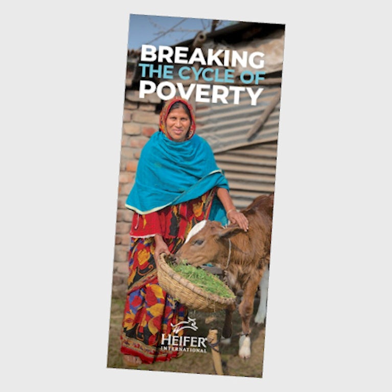 Heifer brochure.