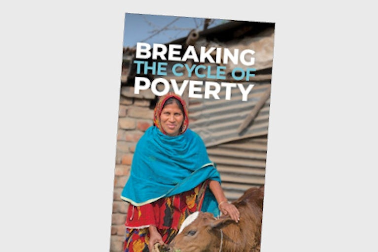 Heifer brochure.