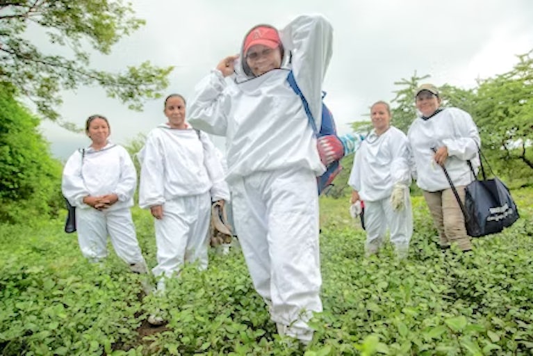 Group of people engaging in beekeeping