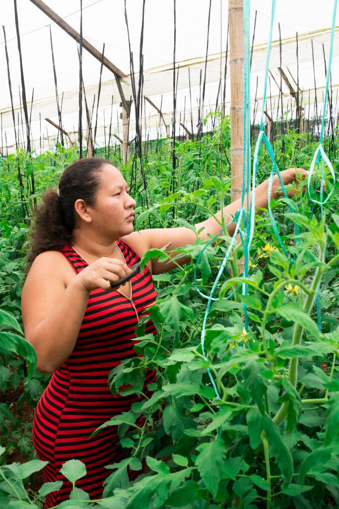 Woman in a greenhouse tending to crops