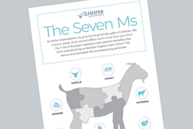 7 Ms Interactive cover with text and an illustration of a goat.