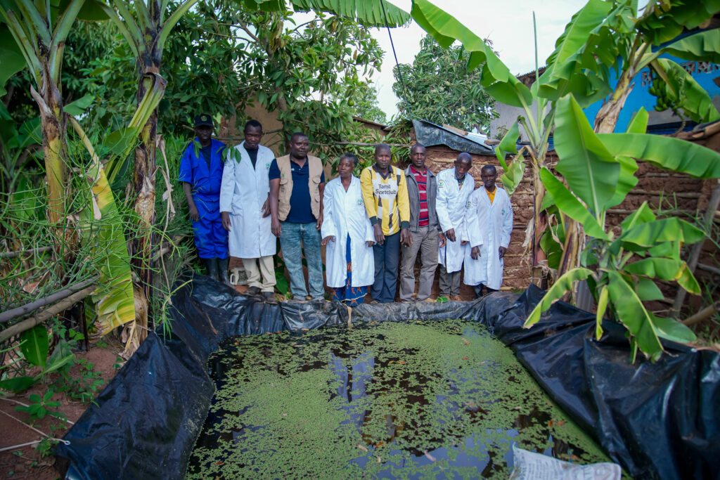 Members of Abesamihigo Cooperative stand beside an Azolla pond in Rwanda.
