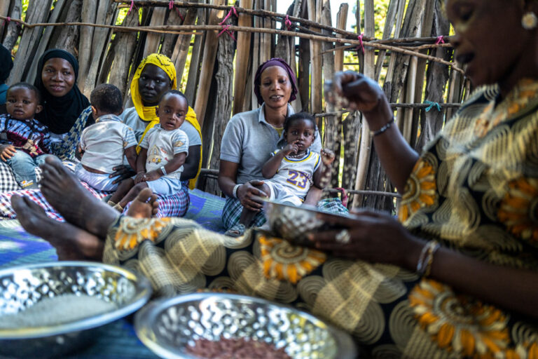 Understanding Global Hunger and Food Insecurity