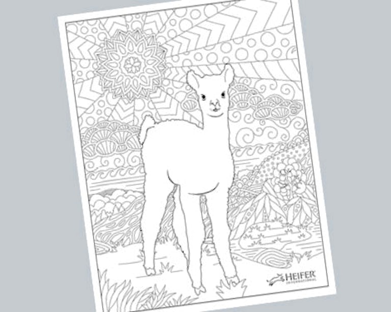 Our advanced coloring page is a great way to spark some creativity and to help you relax, unwind and destress!