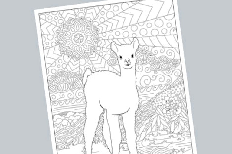 Our advanced coloring page is a great way to spark some creativity and to help you relax, unwind and destress!