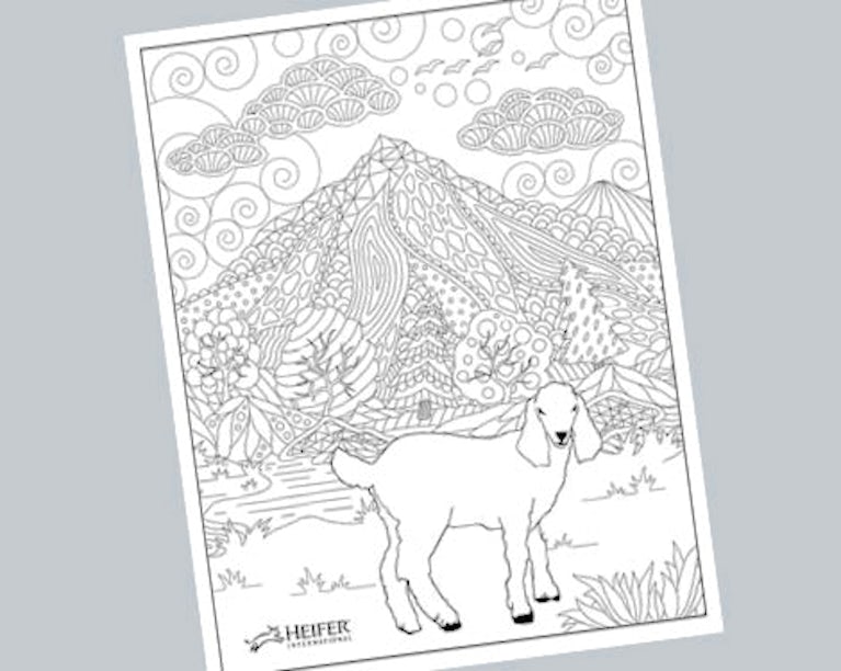 Coloring page for older students and adults, with a goat design