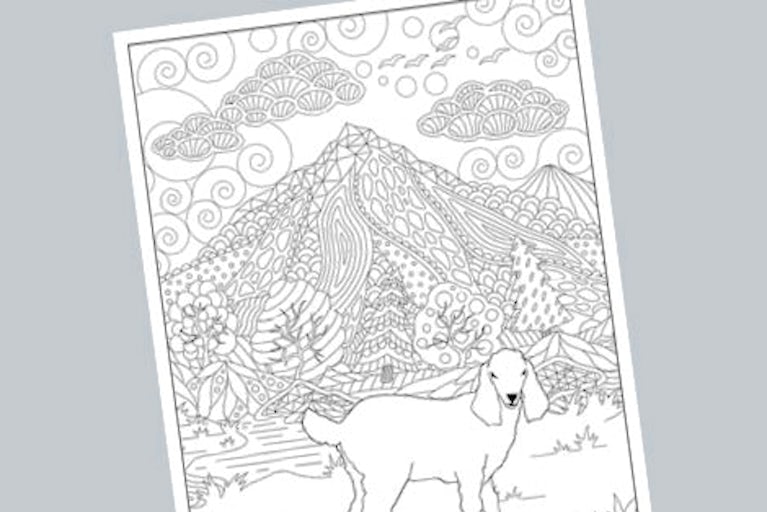 Coloring page for older students and adults, with a goat design