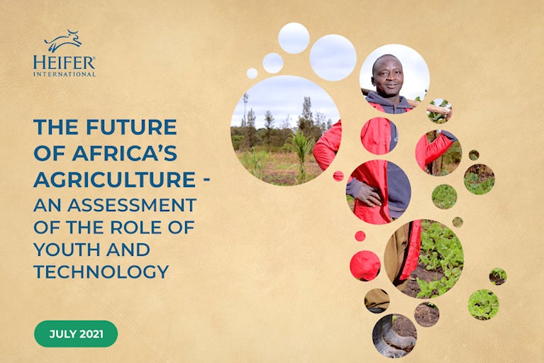 THE FUTURE OF AFRICA'S AGRICULTURE - AN ASSESSMENT OF THE ROLE OF YOUTH AND TECHNOLOGY