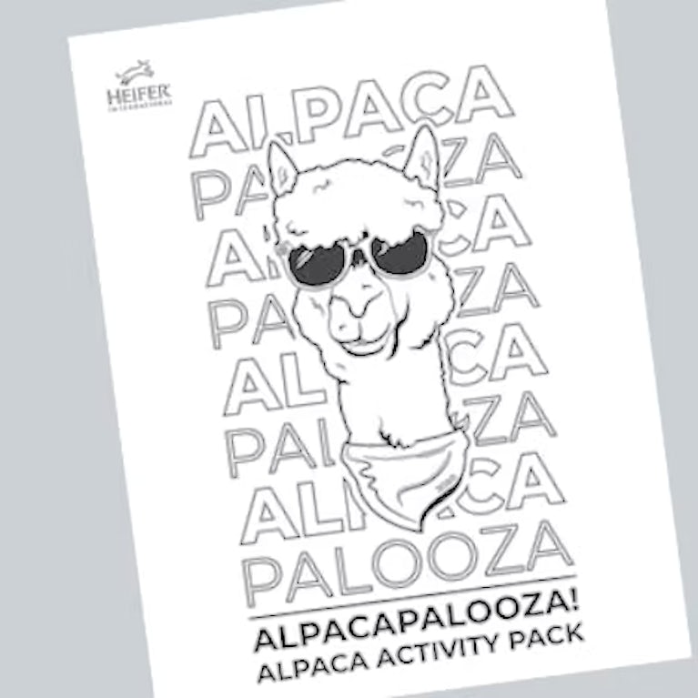 Cover of Alpacapalooza: Alpaca Activity Pack, a cartoon-style drawing of an alpaca