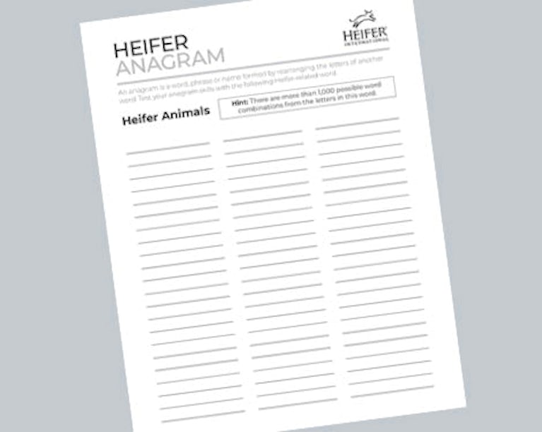 Heifer anagram challenge cover.