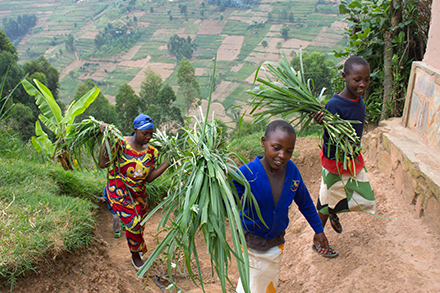 Marie and two of her daughter tend to their land.