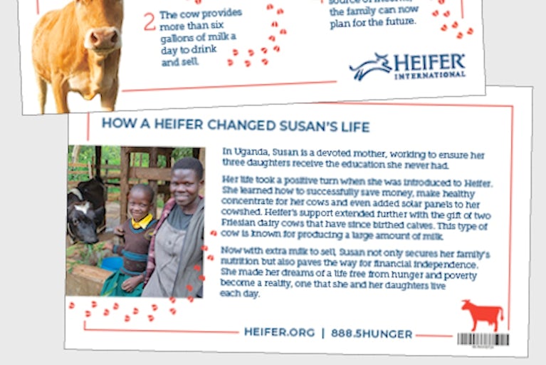 Graphic of Heifer Animal Cards.