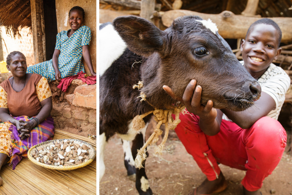  Left, Precious sits with her mother Bisentina next to a plate of sweet potato scraps they use to feed their cows. Right, Emmy with one of the family's calves.