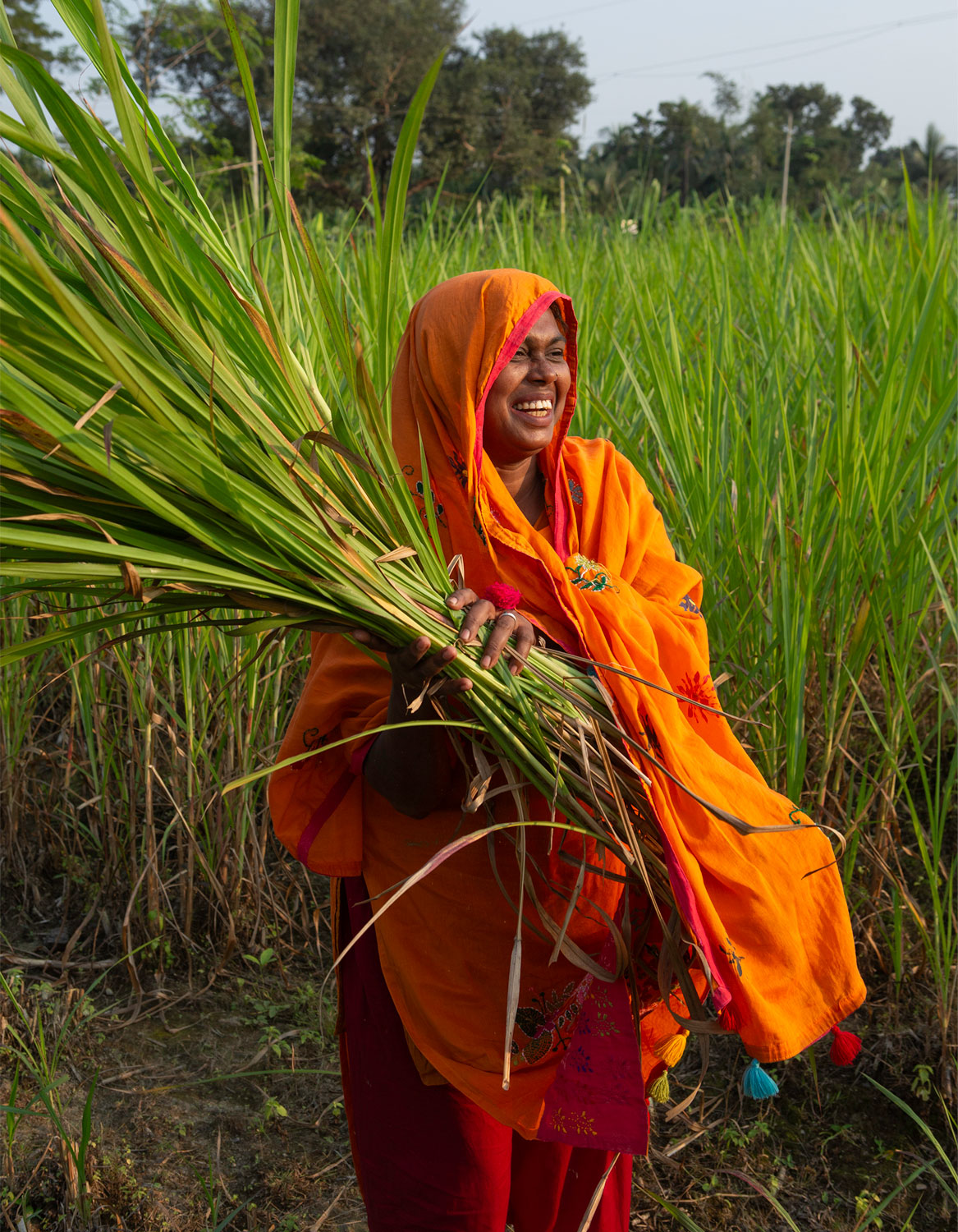 Mosammat Momota Khatun, 40, laughs while collecting super napier grass for fodder near her near their home in Kalikapur village, Bangladesh.