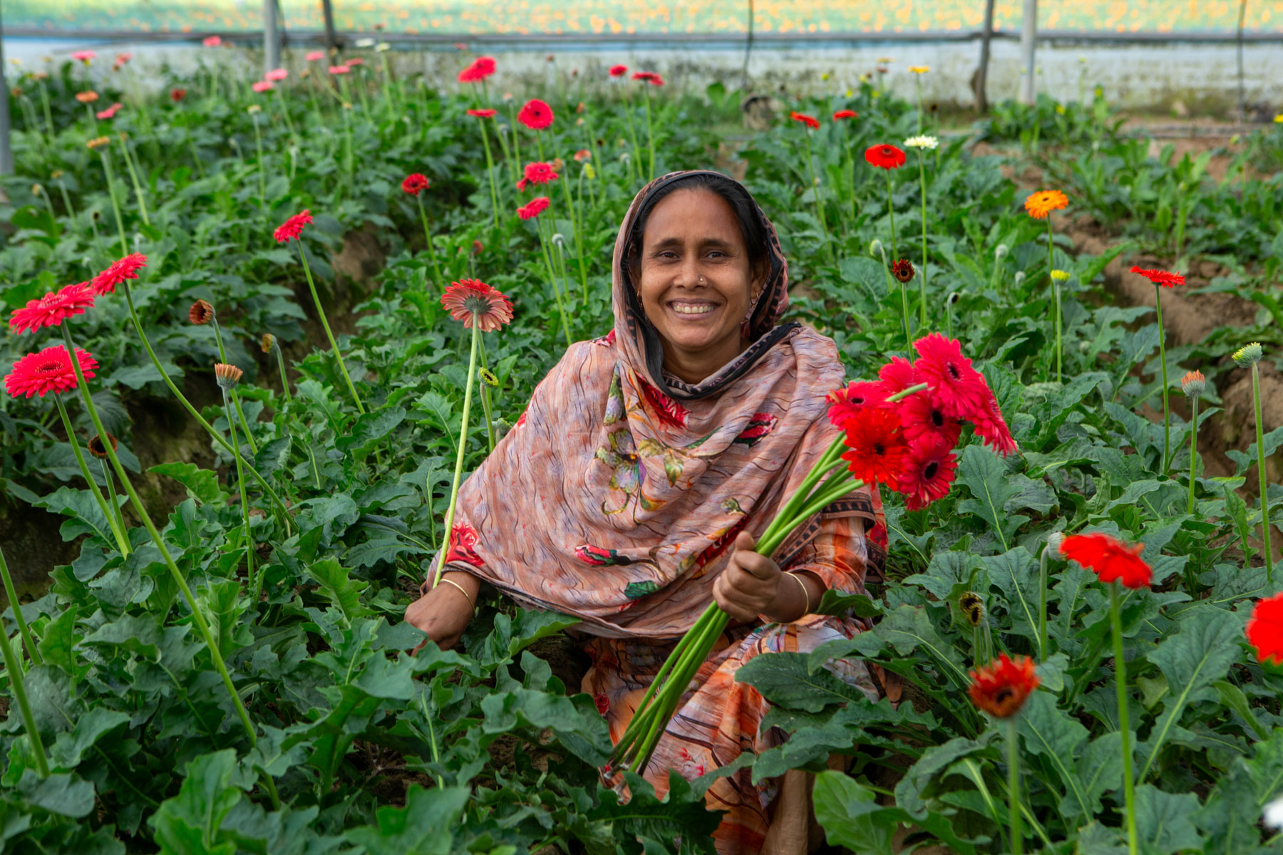A woman in Bangladesh smiles as she holds red flowers in her greenhouse.
