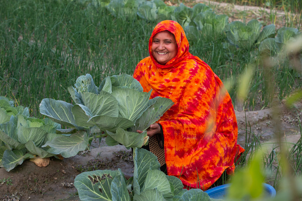 A woman wearing a bright orange headscarf kneels next to a large head of cabbage in a field.
