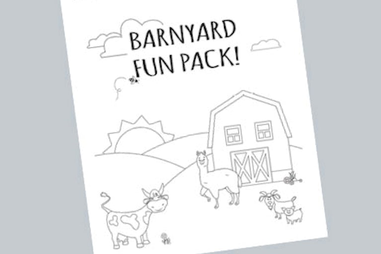 Barnyard Activity Pack Cover, with alpaca, cow, goat, pig and honeybee near a barn.
