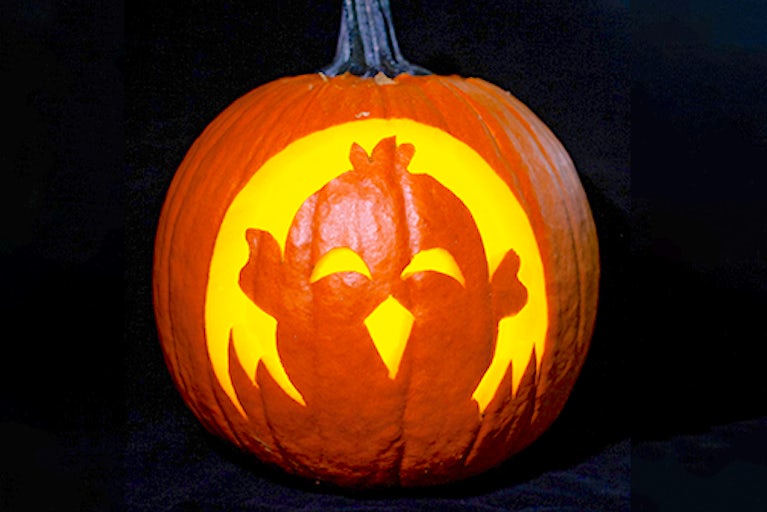 A pumpkin carved with a chick.