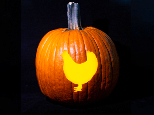 pumpkin carved like a chicken.