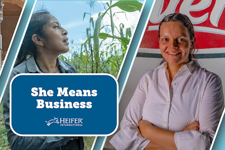 An image featuring three women entrepreneurs in agriculture.