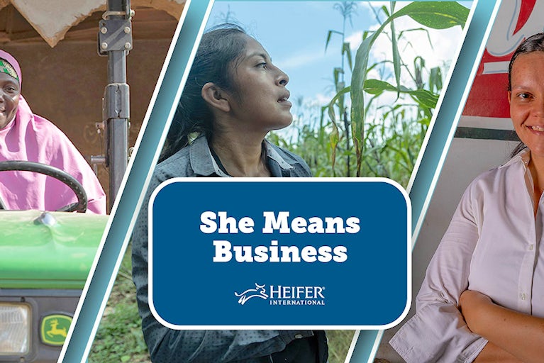 An image featuring three women entrepreneurs in agriculture.