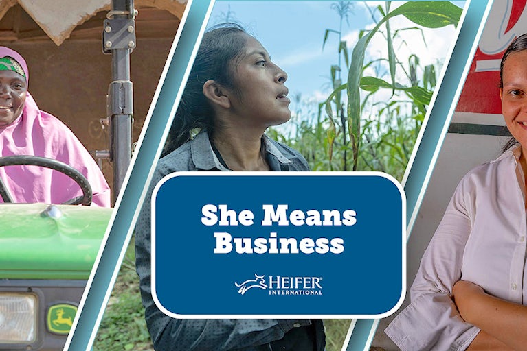 An image featuring three women entrepreneurs in agriculture.