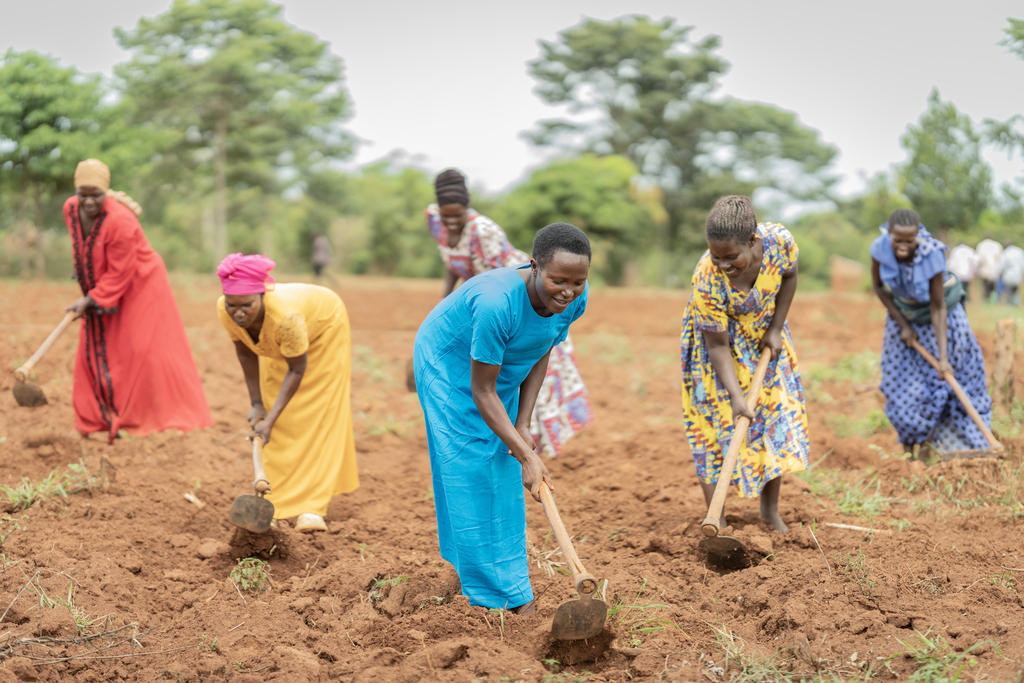 A group of women hoeing dry soil together in a field.