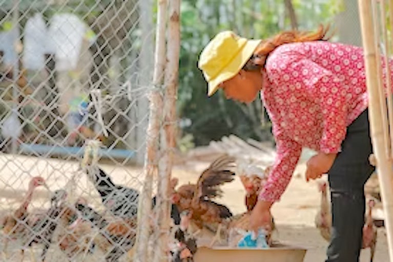 Woman bends down to tend to her animals.
