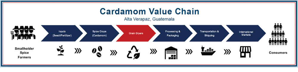 A graphic illustration of the cardamom value chain in Alta Verapaz, Guatemala.