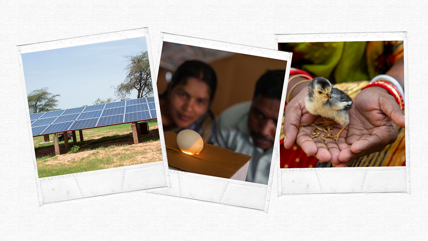Polaroids of solar panels, an egg and a chick.
