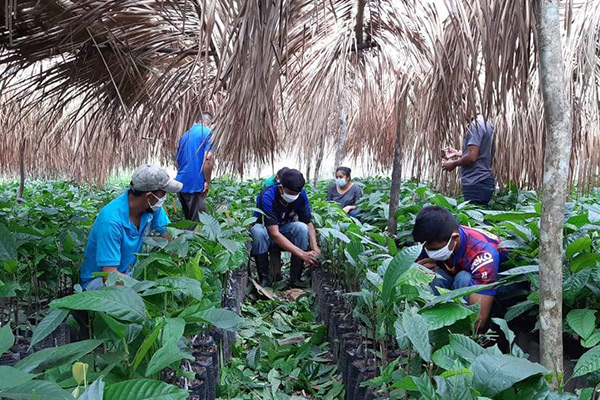 chocolate producers