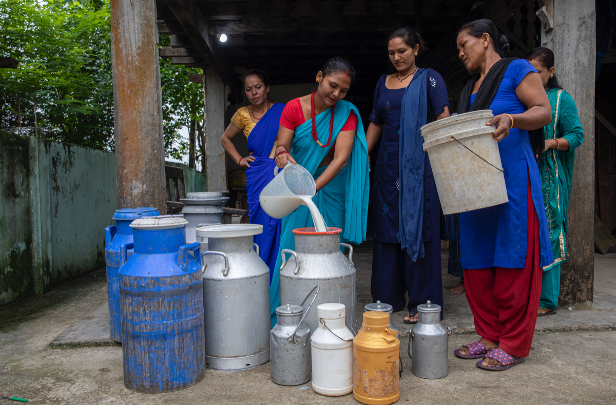 A group of women measure out milk into a jug.