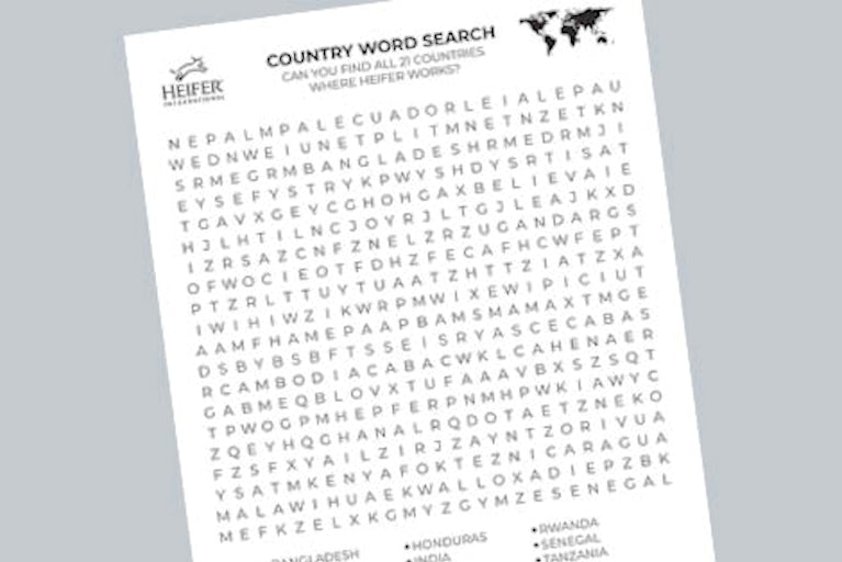 A word search that includes 21 countries where Heifer works