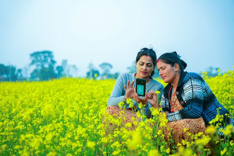 Two women in a field looking at a smart phone