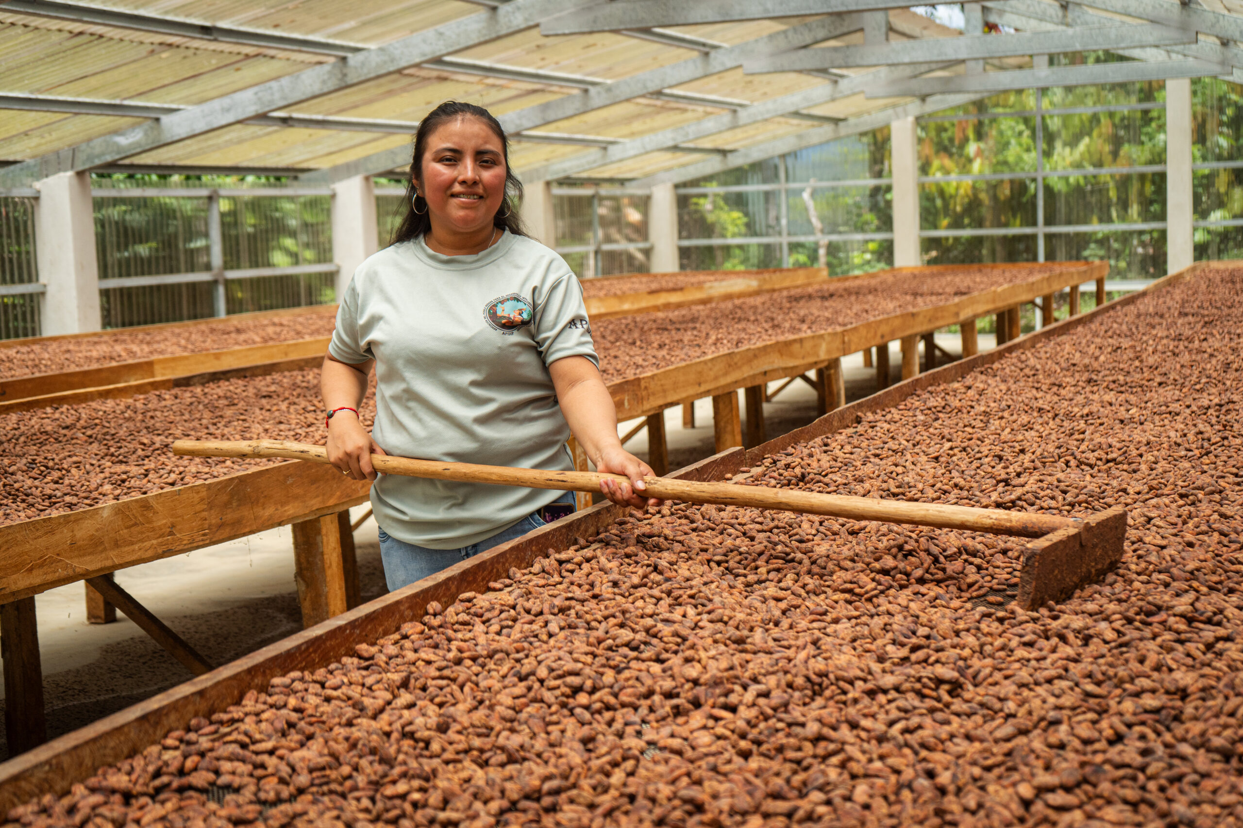 A woman rakes cacao beans on drying tables.