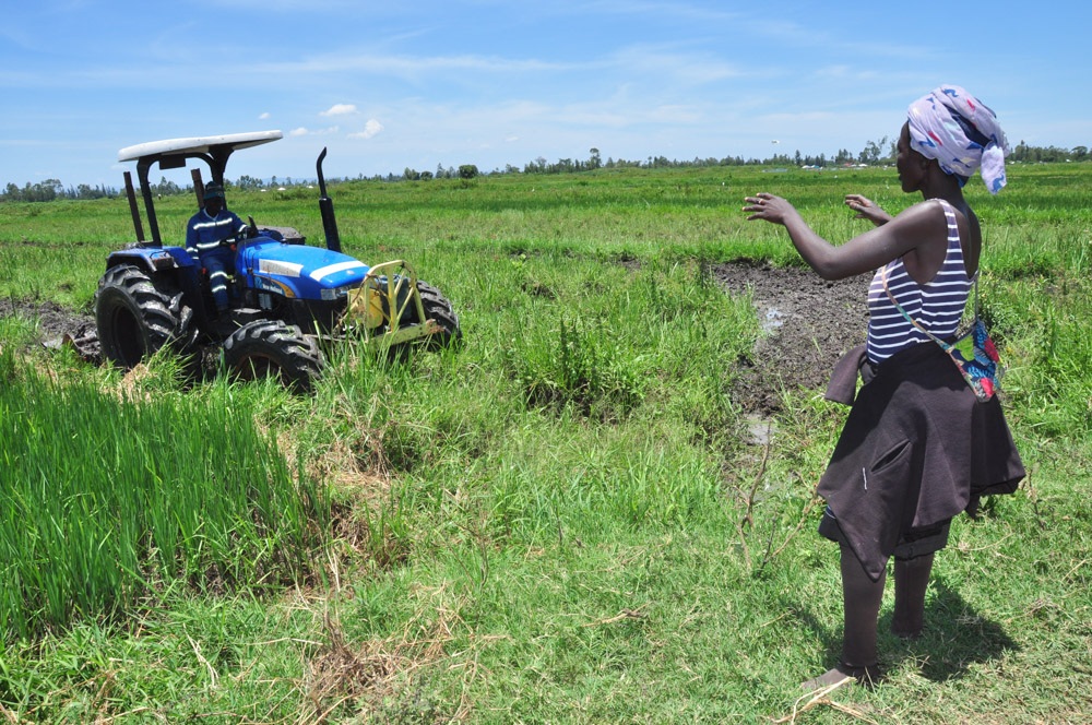 A woman watches while a tractor works on her farm.