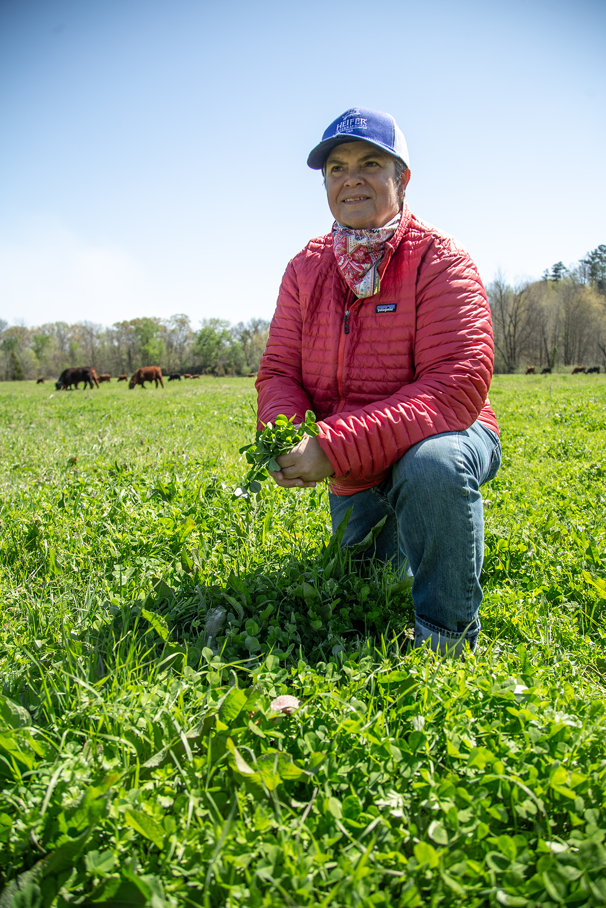 A rancher kneels in a field, holding crops in her hands.