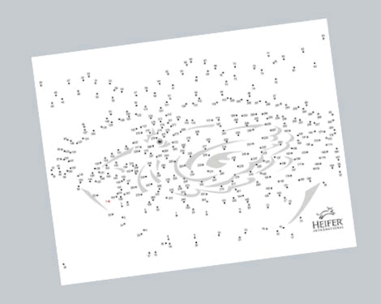 hundreds of numbered dots, when connected the dots make an image