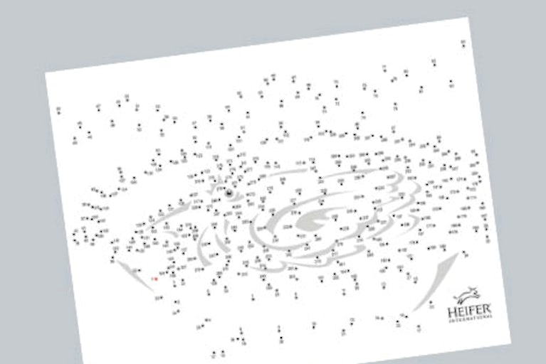 hundreds of numbered dots, when connected the dots make an image