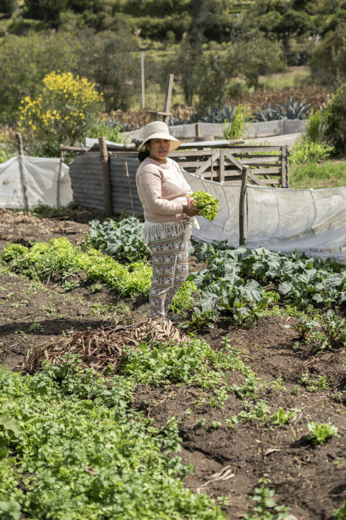 A woman stands in her field and holds freshly harvested greens, with rows of crops behind her.